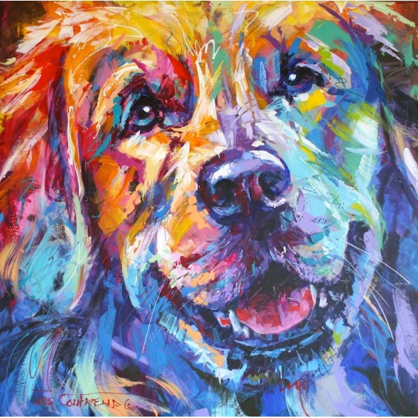 Golden Retriever II